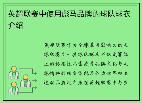 英超联赛中使用彪马品牌的球队球衣介绍